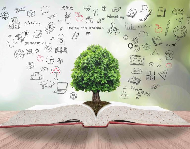 انجام پروپوزال مدیریت کارآفرینی